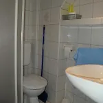 3 *