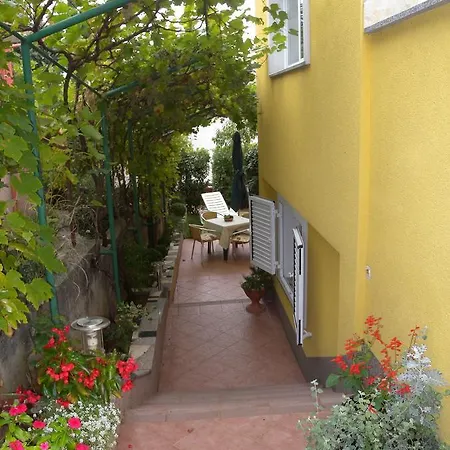 3 * Kornić